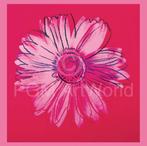 Kunstdruk Andy Warhol - Daisy 1982 90x90cm, Huis en Inrichting, Woonaccessoires | Schilderijen, Tekeningen en Foto's, Verzenden