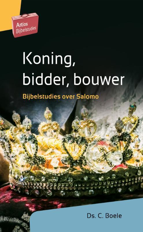 Koning, bidder, bouwer / Artios Bijbelstudies 9789088972638, Boeken, Godsdienst en Theologie, Zo goed als nieuw, Verzenden