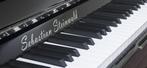 Sebastian Steinwald 121 (Korg KS-30) PE zilver silent piano, Muziek en Instrumenten, Piano's, Nieuw