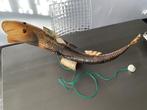 Vis Taxidermie volledige montage - Inconnu - 30 cm - 66 cm -, Antiek en Kunst