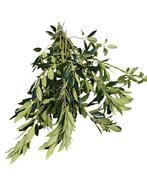 Ilex blad groen zonder bes Bundel, Huis en Inrichting, Ophalen of Verzenden, Nieuw