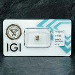 Zonder minimumprijs - 1 pcs Diamant (Natuurlijk gekleurd) -, Sieraden, Tassen en Uiterlijk, Edelstenen, Nieuw