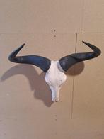 Blauwe gnoe Taxidermie wandmontage - Connochaetes taurinus -, Nieuw