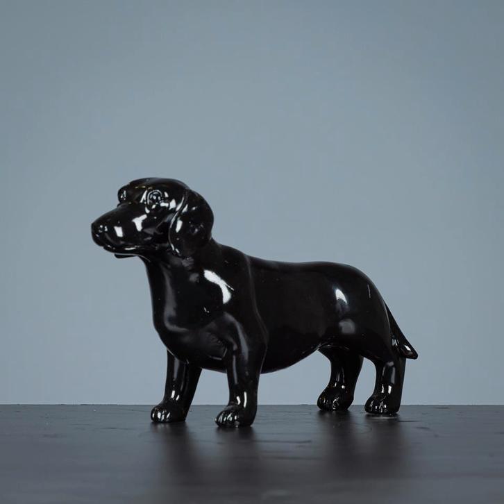 Beeld van een teckel, Dieren en Toebehoren, Honden | Teckels en Dashonden, Meerdere, 15 weken tot 1 jaar, Handelaar, Buitenland