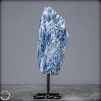Zeer zeldzame natuurlijke kyanite kristalcluster op stand-
