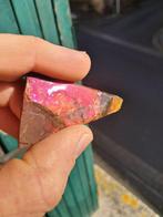 Ammoliet - Fossiel fragment - Placenticeras - 5.4 mm - 3.4, Verzamelen, Mineralen en Fossielen