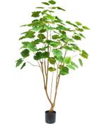 Kunstplant ‘Ficus’ | 180cm, Ophalen, Nieuw