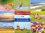 ansichtkaart Happy Postcrossing (HP002), Verzenden, Gelopen
