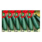 Courgettezaad | VT | 5 stuks, Verzenden