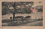 DE LUTTE - Boerderij De Reuver. De Lutte bij Oldenzaal, Verzamelen, Ansichtkaarten | Nederland, Verzenden, Gelopen