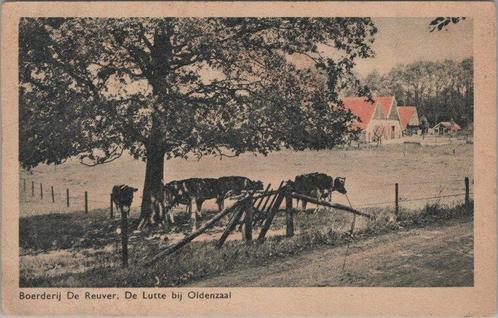 DE LUTTE - Boerderij De Reuver. De Lutte bij Oldenzaal, Verzamelen, Ansichtkaarten | Nederland, Verzenden