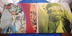 Jimi Hendrix & Related - Live at woodstock (180g + booklet), Nieuw in verpakking