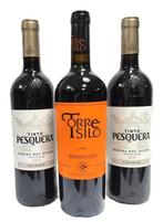 2022 Cillar de silos, Torre Silo x1 & 2023 Tinto Pesquera,, Nieuw