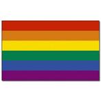 Vlag met regenboog print - Vlaggen, Ophalen of Verzenden, Nieuw