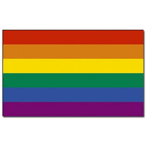 Vlag met regenboog print - Vlaggen, Hobby en Vrije tijd, Feestartikelen, Ophalen of Verzenden