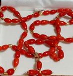 Koraal Koraal - corallium rubrum