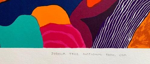 Ronald Boonacker (1955) - Joshua Tree National Park, USA, Antiek en Kunst, Antiek | Overige Antiek