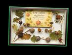 A very rare museum display of real galls on deciduous trees, Nieuw