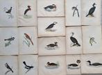 Francis Orpen Morris / Benjamin Fawcett - Lot of 33 plates