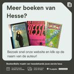 De kleine wereld 9789023411284 Hesse, Verzenden, Gelezen, Hesse