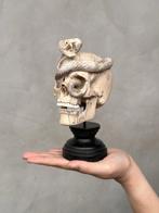 Snijwerk, NO RESERVE PRICE - Stunning Tamarind Wood Skull