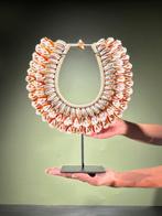 Decoratief ornament - NO RESERVE PRICE - SN14 - Shell