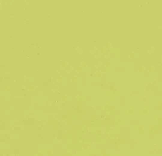 Forbo Furniture Linoleum 4182 spring green, Huis en Inrichting, Stoffering | Vloerbedekking, Verzenden
