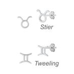 Zilveren mini sterrenbeeld oorstekers, Sieraden, Tassen en Uiterlijk, Oorbellen, Verzenden, Nieuw, Zilver