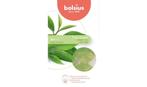 Wax melts pack 6 True Scents Green Tea - Bolsius, Nieuw, Verzenden