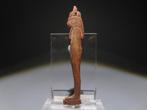 Oud-Egyptisch Hout Atej, een van de vier zonen van Horus.
