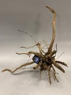 Driftwood Selected DW15 - 31x60x50cm (Small drift wood), Ophalen of Verzenden, Nieuw, Plant(en), Steen of Hout