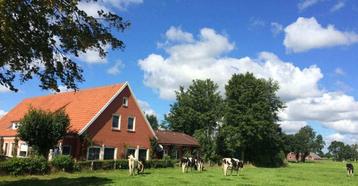 Luxe VakantieVilla met Bioscoop, Bar, Sauna en Whirlpool beschikbaar voor biedingen