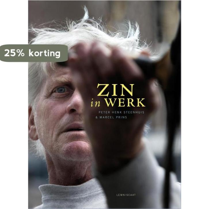 Zin in werk 9789047705536 Peter Henk Steenhuis, Boeken, Politiek en Maatschappij, Gelezen, Verzenden