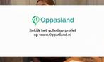 Ik ben Merthe en ik zoek oppaswerk in Deventer., Diensten en Vakmensen, Dieren | Paarden | Verzorging, Oppas en Les
