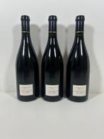 2007 Tardieu Laurent, Hermitage - Rhône - 3 Flessen (0.75, Verzamelen, Nieuw