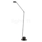 Lumina Daphine Terra Classic, zwart (Staande lampen), Verzenden, Nieuw