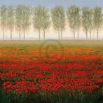 Kunstdruk Park - Morning Mist 68x68cm, Verzenden, Nieuw