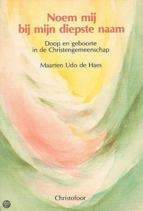 NOEM MIJ BIJ MIJN DIEPSTE NAAM 9789062381869 M. Udo de Haes, Boeken, Godsdienst en Theologie, Gelezen, Verzenden