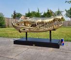 Figuur - XXL 105cm ! Giant Crocodile Skull - Messing