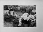 Édouard Boubat (1923–1999) - Les Arômes, Mexique, 1979