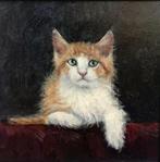 Mijnsbergen (1945) - Roodkleurig katje, Antiek en Kunst