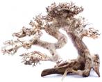 Bonsai Tree 60cm - xxl aquascaping boom, Dieren en Toebehoren, Vissen | Aquaria en Toebehoren, Nieuw, Sierelement, Verzenden