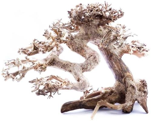 Bonsai Tree 60cm - xxl aquascaping boom, Dieren en Toebehoren, Vissen | Aquaria en Toebehoren, Sierelement, Nieuw, Verzenden