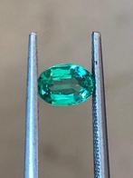 1 pcs Groen Smaragd - 0.75 ct - International Gemological, Sieraden, Tassen en Uiterlijk, Nieuw