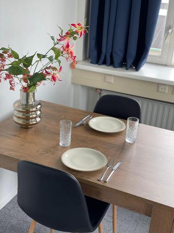 Studio te huur in Rijswijk beschikbaar voor biedingen