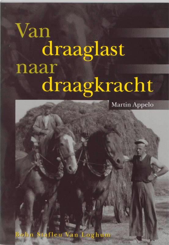 Van draaglast naar draagkracht 9789031329670 Martin Appelo, Boeken, Psychologie, Zo goed als nieuw, Verzenden