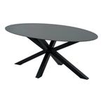 Crest tafel ovaal 180x100x73cm, Ophalen of Verzenden, Nieuw, Zwart