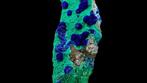 Azuriet op Malachiet - Czar Mine, Copper Queen Mine, Bisbee,, Verzamelen, Mineralen en Fossielen
