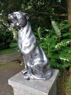 Beeld, 80 cm high garden statue panther in silver bronze