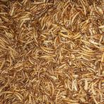 Meelwormen - Meelwormen 2500 ml - Kip    - Versnaperingen, Dieren en Toebehoren, Verzenden, Nieuw
